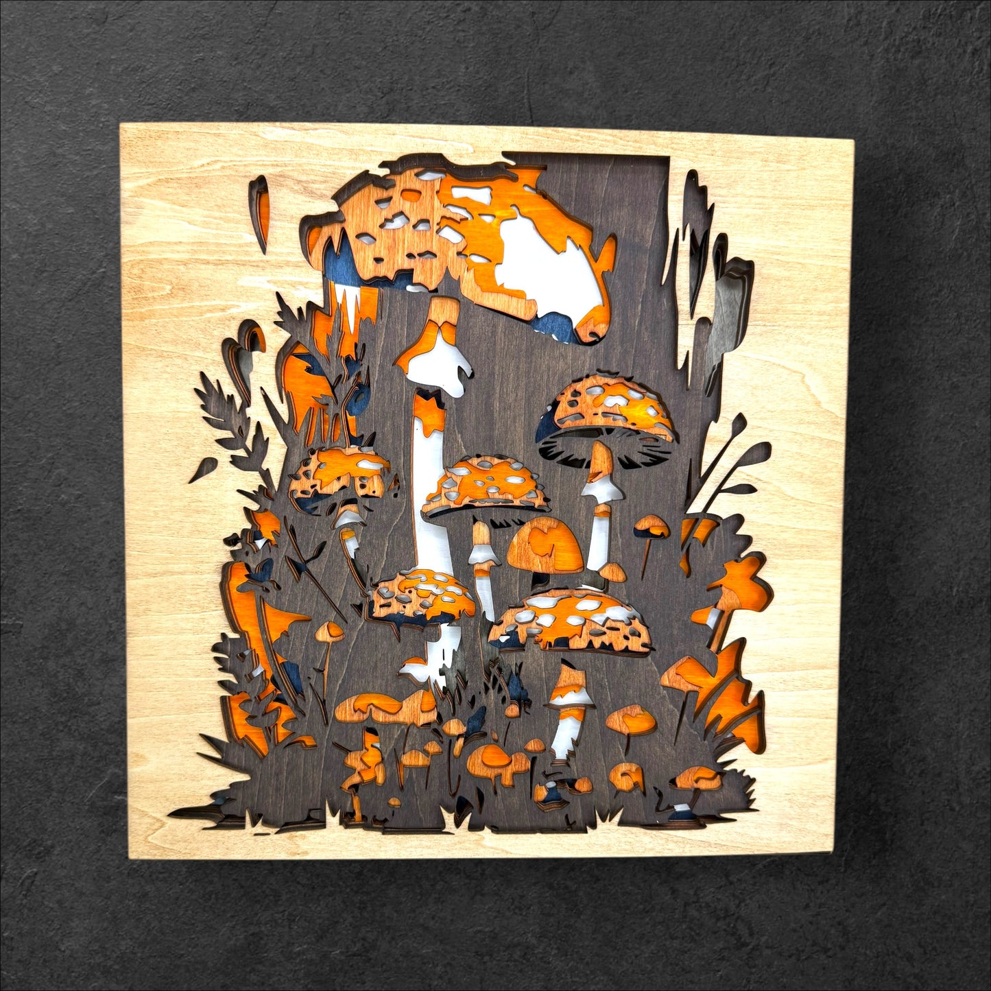 wood_and_wonder_studios_Denver_Colorado