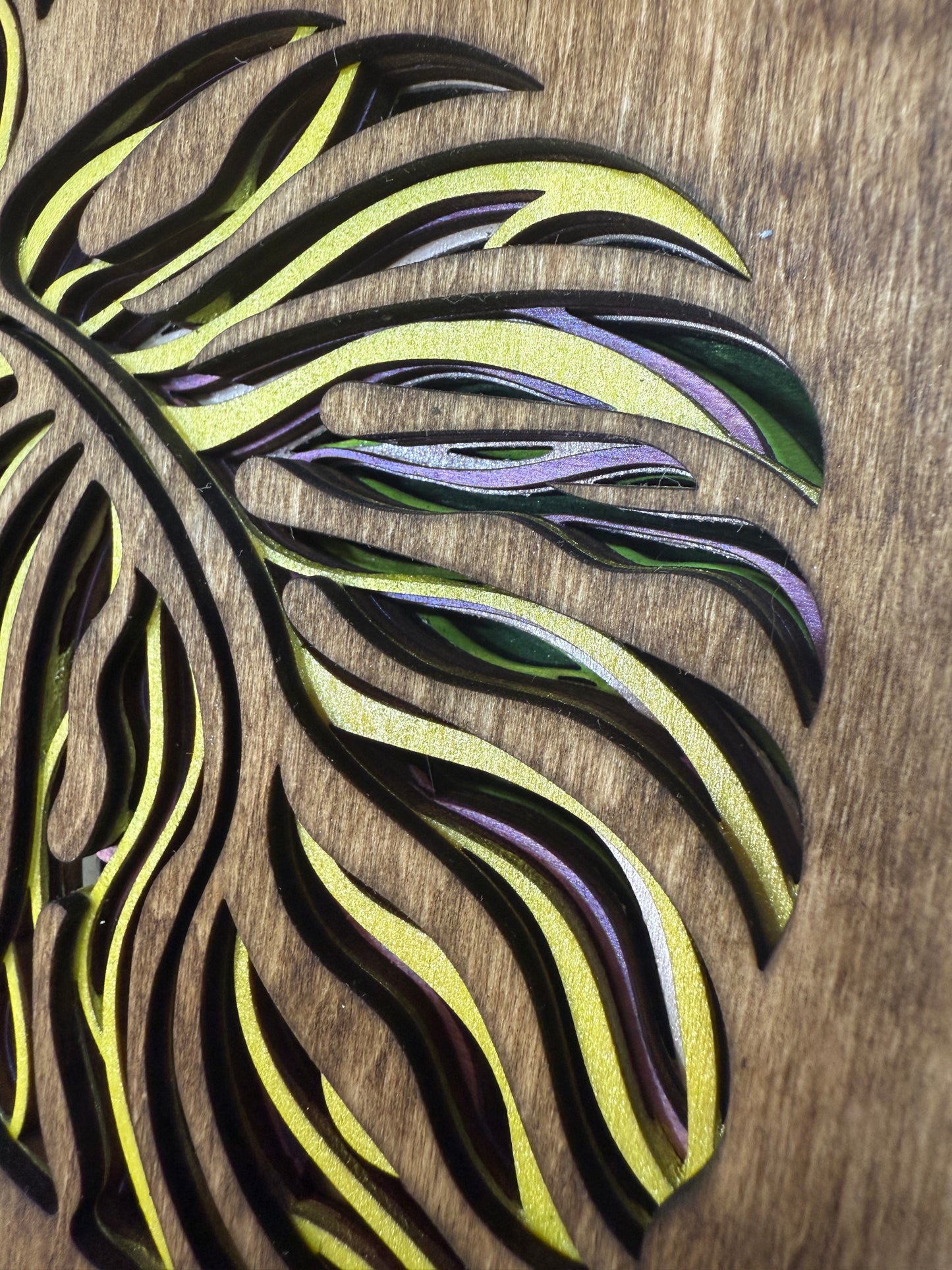 Monstera Leaves