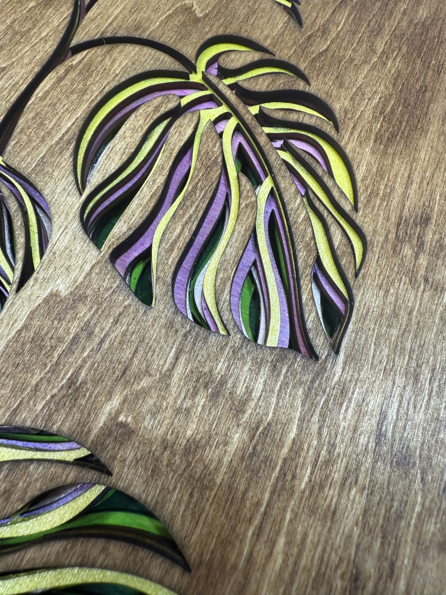 Monstera Leaves