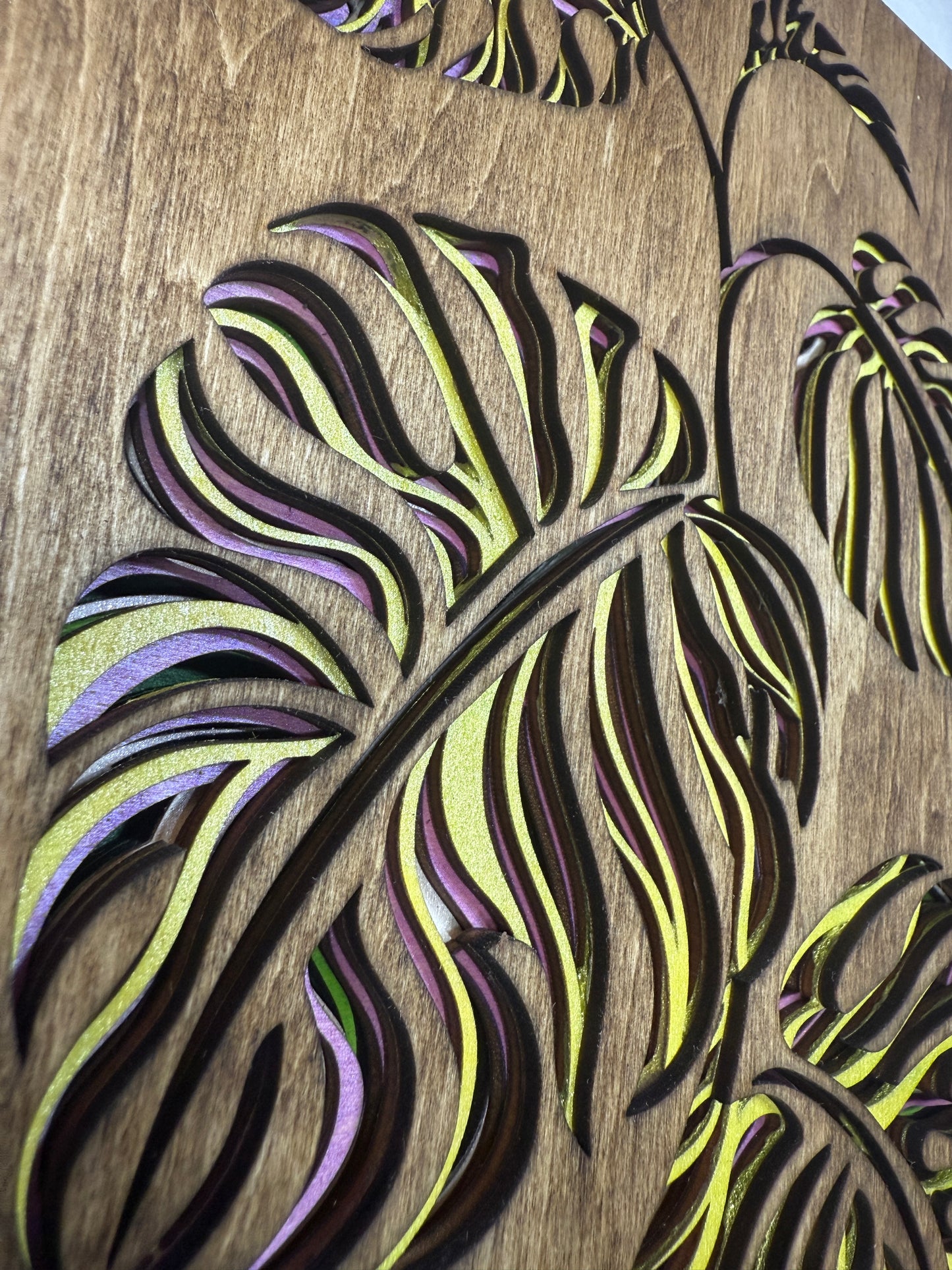 Monstera Leaves