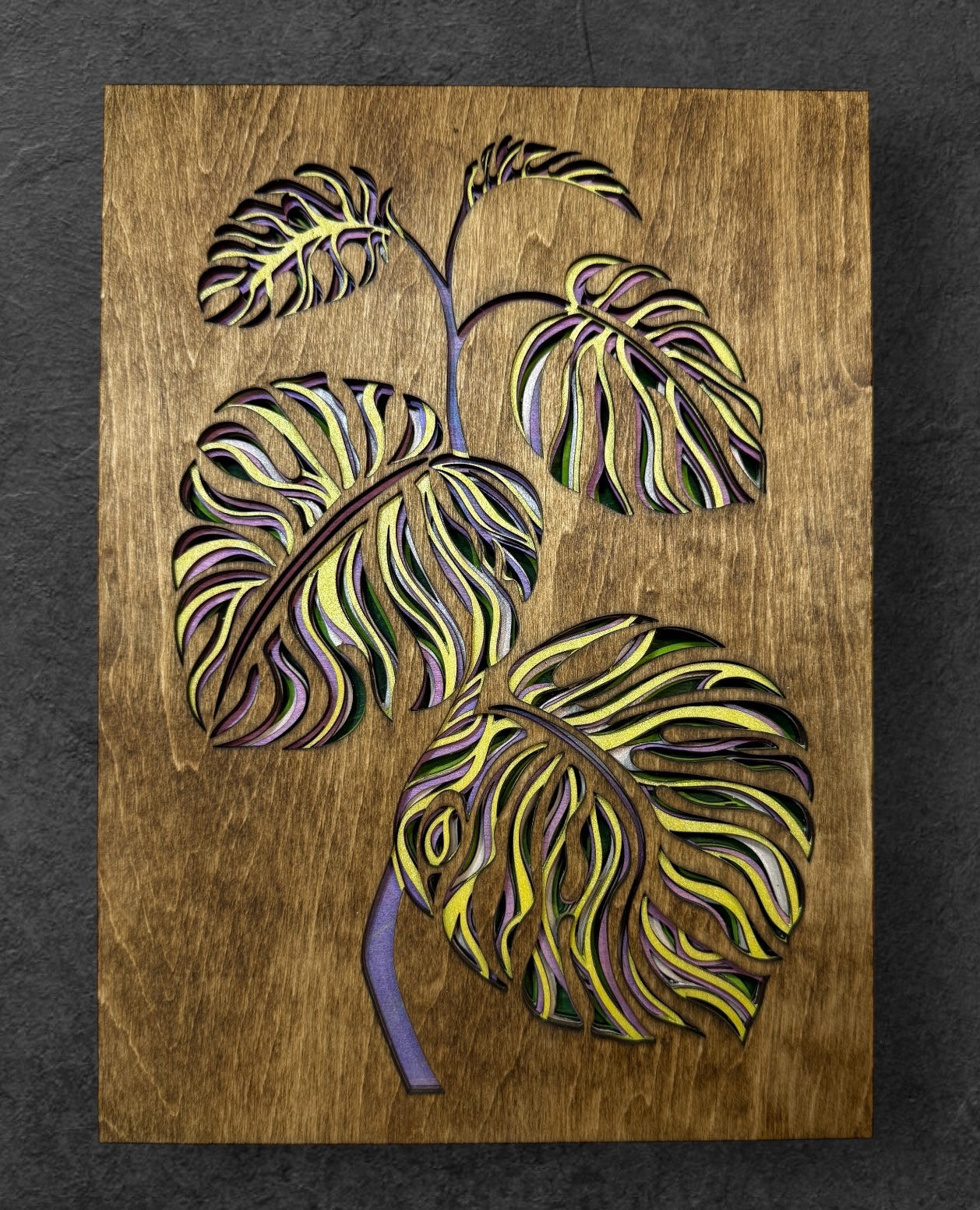 Monstera Leaves